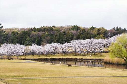 🌳 과학 만국 박람회 기념 공원(카가쿠 반파쿠 키넨 코엔) 이미지 3